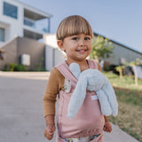 DollyDink Toy Carrier