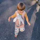 DollyDink Toy Carrier