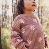 Embroidered Knit Jumper - Wood Rose