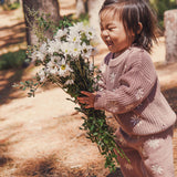 Embroidered Knit Jumper - Wood Rose