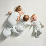 Sleeping Bag 2.5 TOG - Dusk Blue Stripe