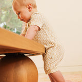 Day or Night Onesie Short Sleeve - Neutral Sunrise