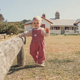 Cord Overall - Cameo