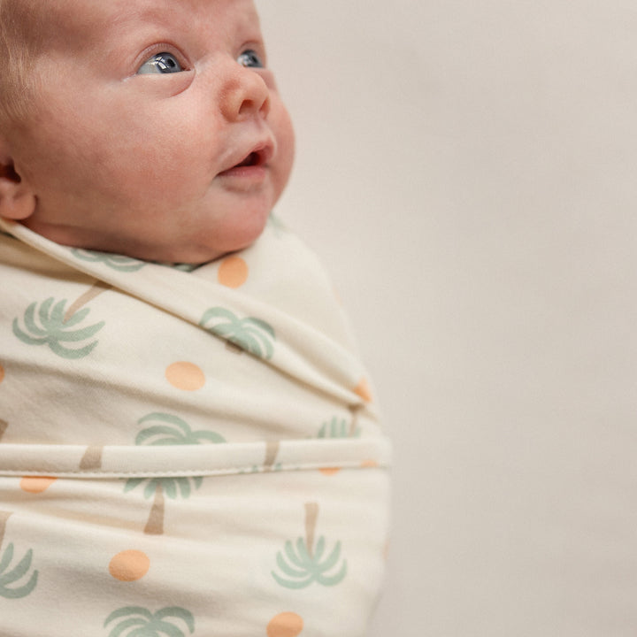 Large Stretchy Swaddle - Palm Sunset