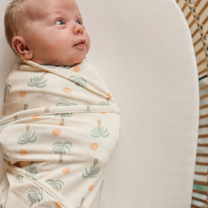Large Stretchy Swaddle - Palm Sunset