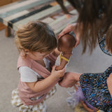 DollyDink Toy Carrier