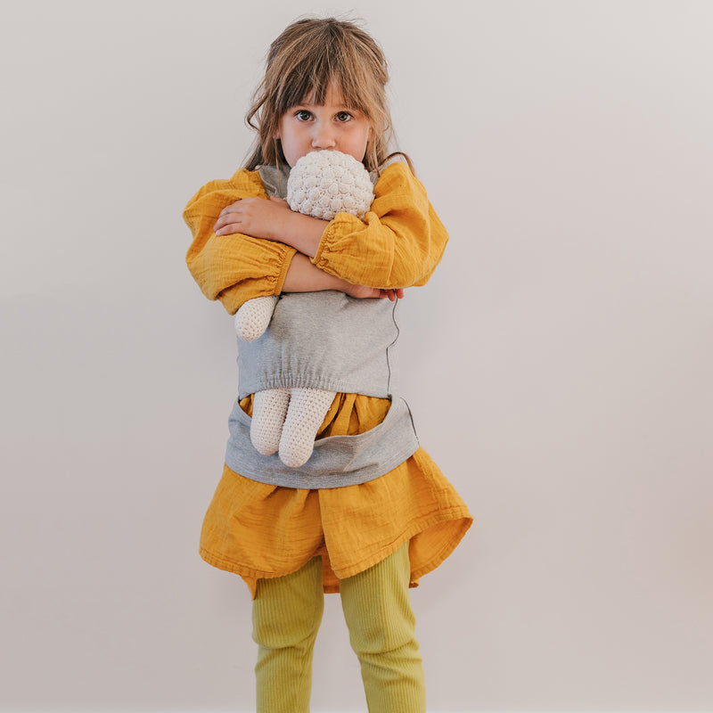 DollyDink Toy Carrier