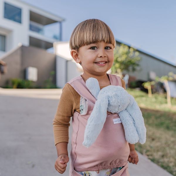 DollyDink Toy Carrier
