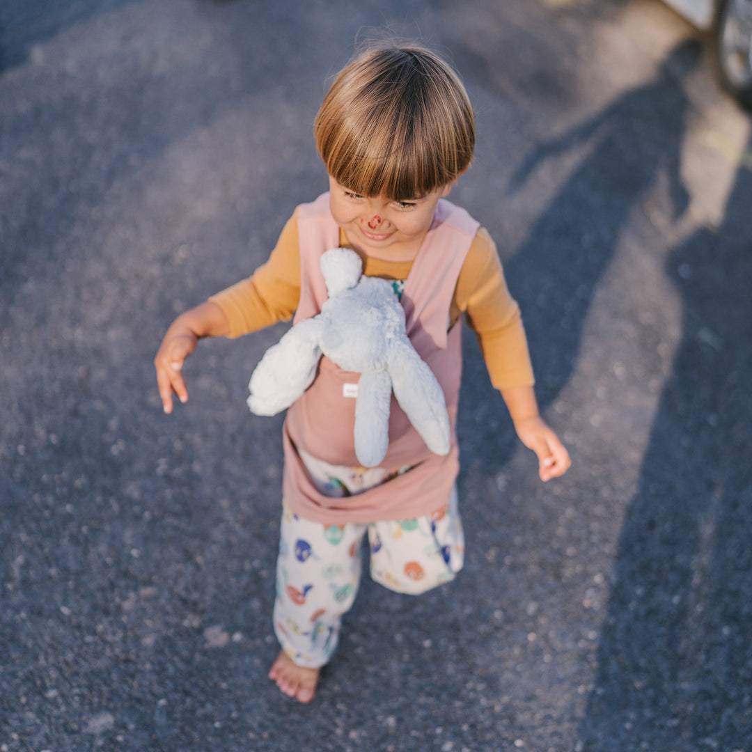 DollyDink Toy Carrier