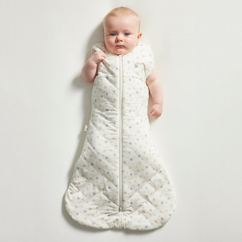 Swaddle Sleeping Bag 2.5 TOG - Rainbow Dreaming