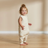 Grow Sleep Suit 2.5 TOG - Rainbow Dreaming