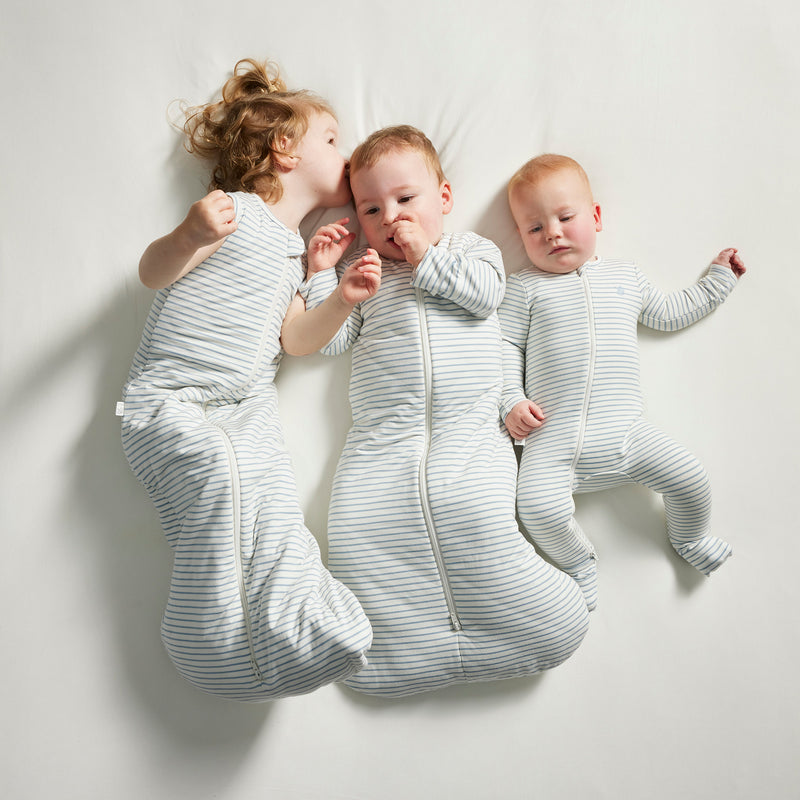 Sleeping Bag 2.5 TOG - Dusk Blue Stripe