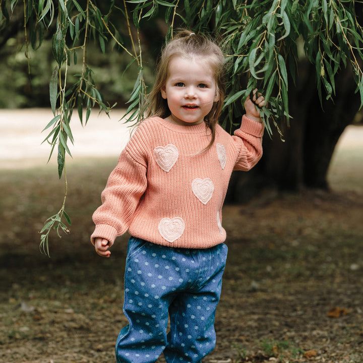 Embroidered Knit Jumper - Cameo