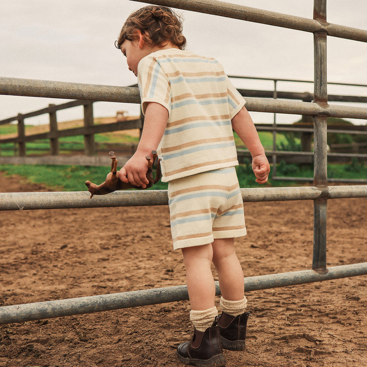 Knit Short - Stripe