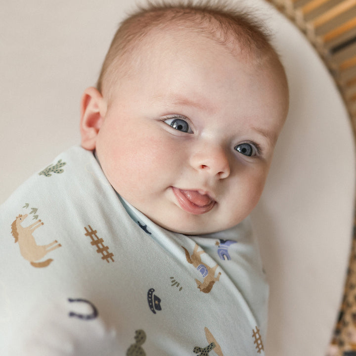 Large Stretchy Swaddle - Country Blue