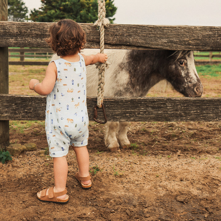 Woven Shortall - Country Blue