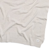 Rainbow Decorative Knit Blanket - Oatmeal Rainbow